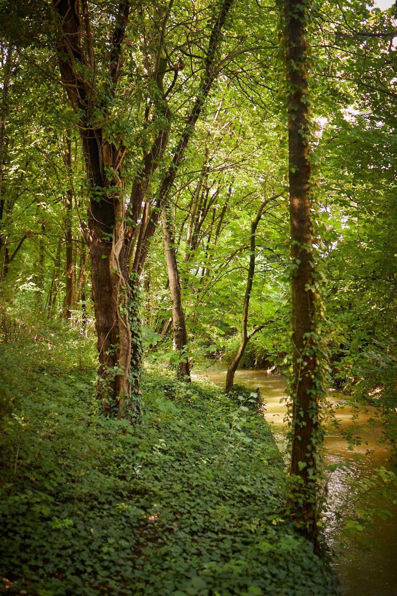 Gaestehaus Englischer Garten Múnich